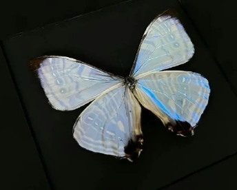 怀着爱意带着柔和的四字网名 很爱且很好听的网名