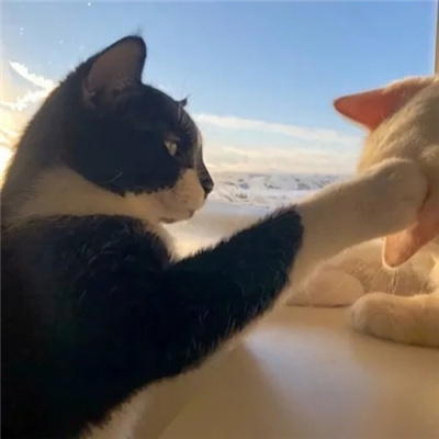 适合小号用的感情头 闺蜜情头都可以用的勾魂头像