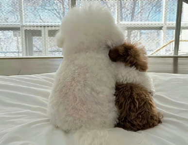 网名中带伤感的网名 难过系列的网名合集