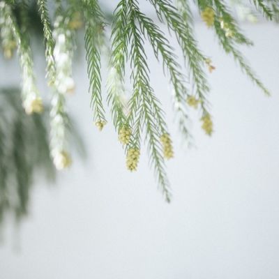 强迫症头像简约小清新风景头像最新 所爱隔山海山海皆可平