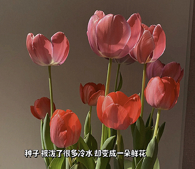 岁月静好的风度柔和网名 柔和又优雅的网名