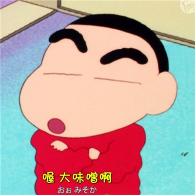 最新高清蜡笔小新头像独一无二 菊花也是花贱人也是人