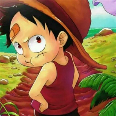 最新微信头像海贼王图片大全 超呆萌的经典海贼王头像