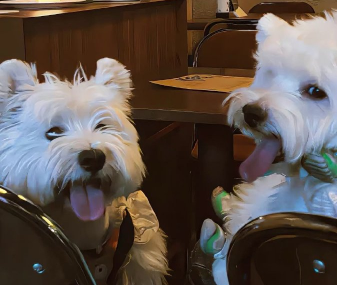 独一无二的二字网名 限定款超棒网名大全