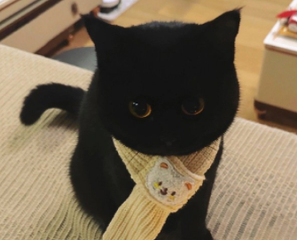 男生网名特别不俗气合集 简洁又耐听的男生网名出众