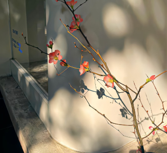 六个字古风韵味的网名 稀有好听的古风网名