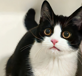 网名好听新版独特 值得一用的四字网名