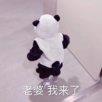 微信萌娃头像呆萌幽默 呆萌小孩头像带字图片大全