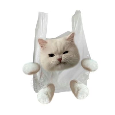 白看不厌的猫咪微信头像呆萌 全新猫咪微信头像合集