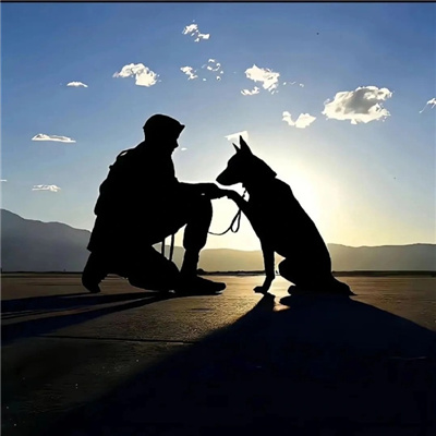 酷到没边的帅哥男头风度超魅力 很潮的男头超有魅力合集