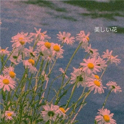 四月治愈系又好看的风景有太多的唯美事物想与你分享