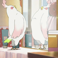 动态头像女生呆萌卡通图片最新 既宅又腐前途未卜